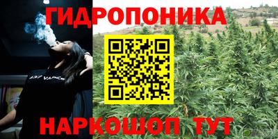 прущая мука Гусев